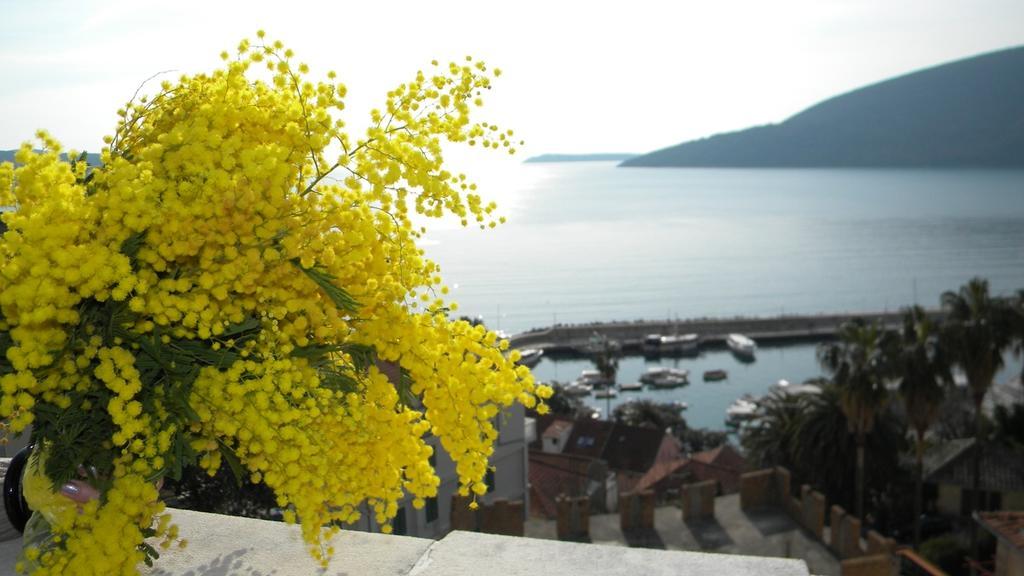 Apatments Stanojlovic Djenovic Apartment Herceg Novi Ngoại thất bức ảnh