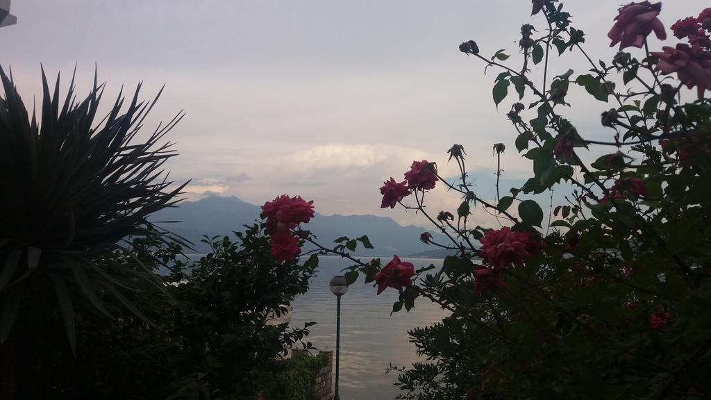 Apatments Stanojlovic Djenovic Apartment Herceg Novi Ngoại thất bức ảnh